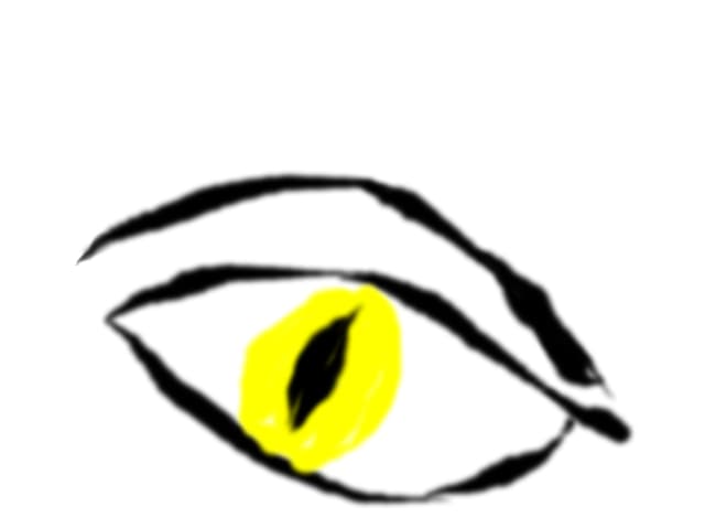 Girl feline eye