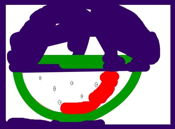 Lubenita