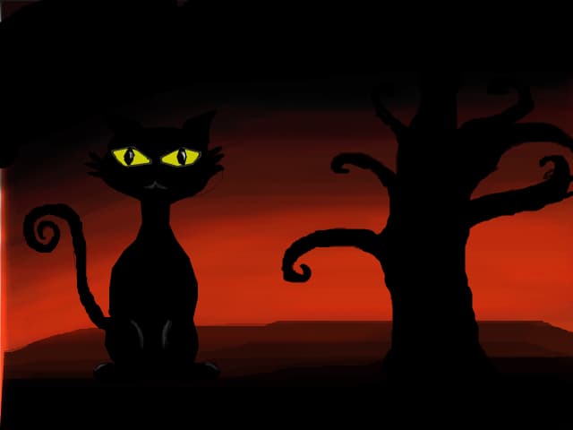 black cat