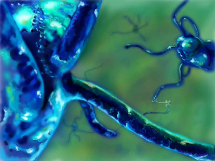 Neuronale