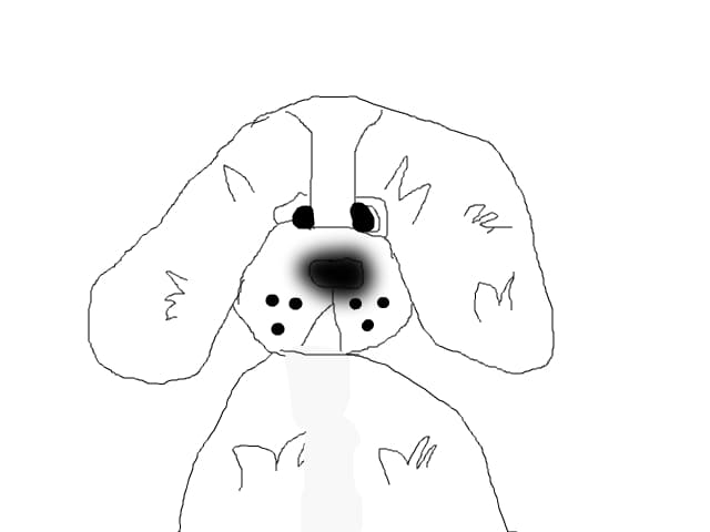 pufi