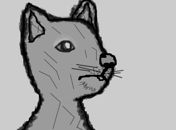 catelul