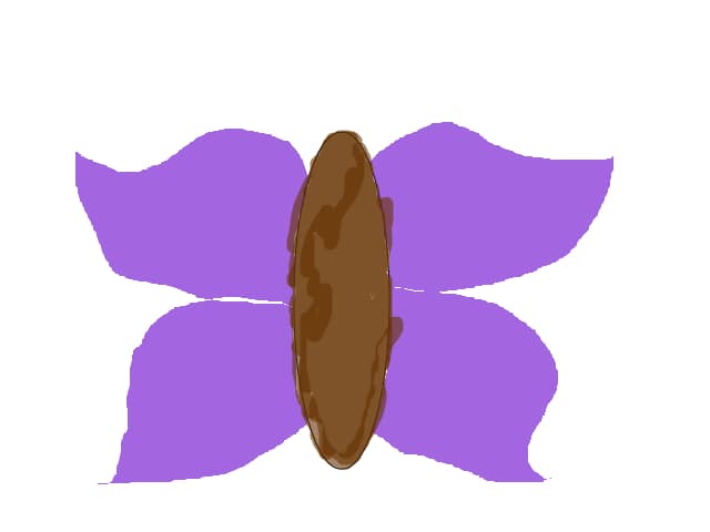 fluturas