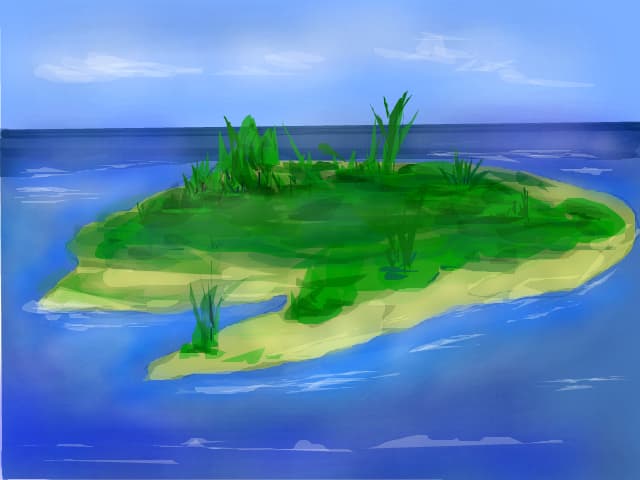 insula