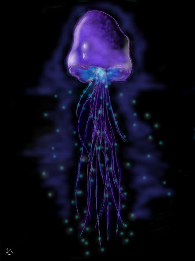 jelly