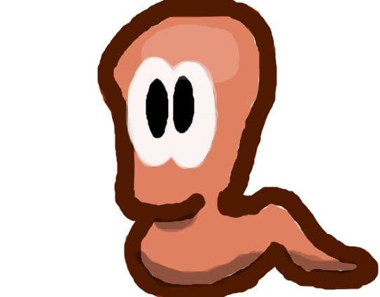 Worms