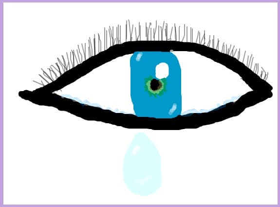 eye see u