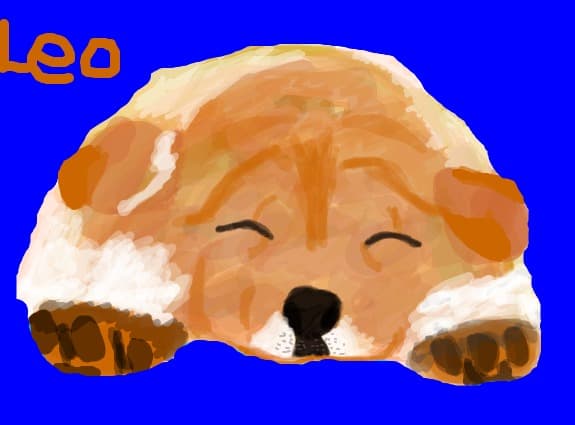 Leo , cainele meu
