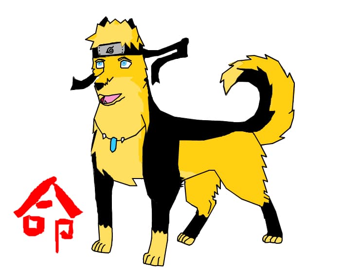 Naruto Terminat