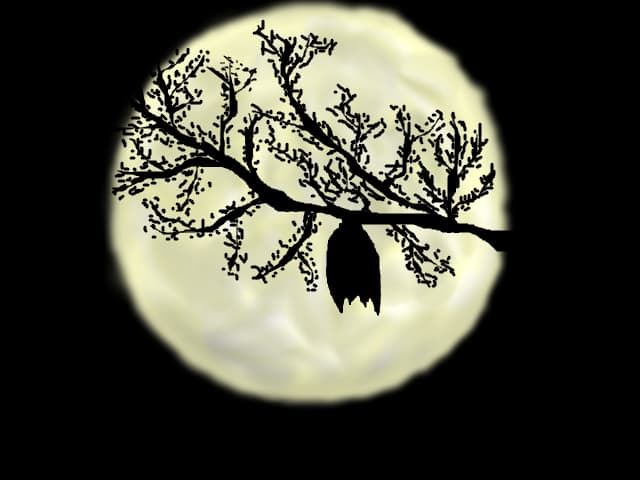 liliac pe luna...
