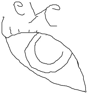 eye