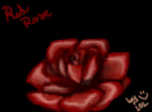 Red Rose