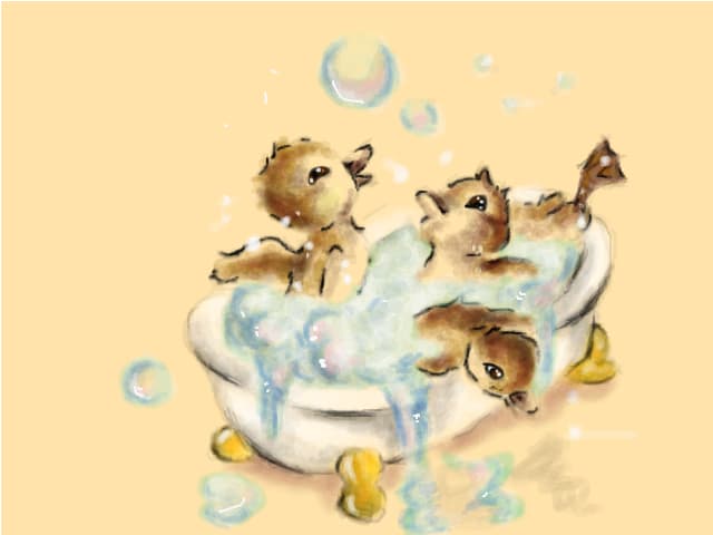 bath time!