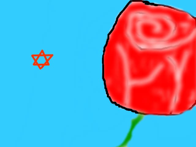 trndafir+steluta