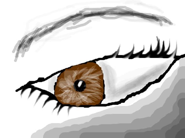 ochisor