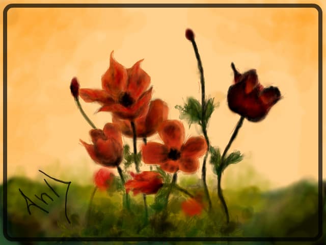 Flowers