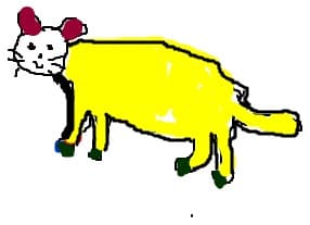 pusy