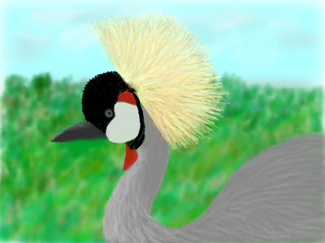 Gru incoronata