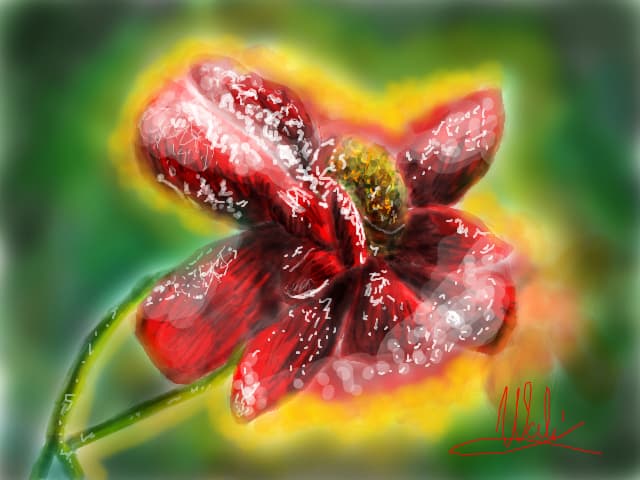 Floricica.