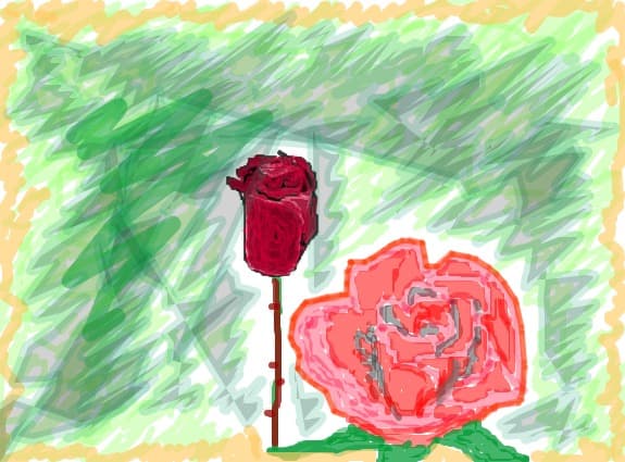 roses
