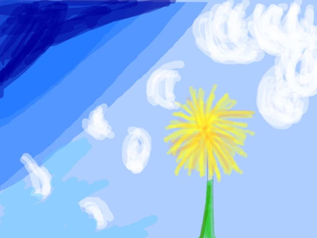 sun