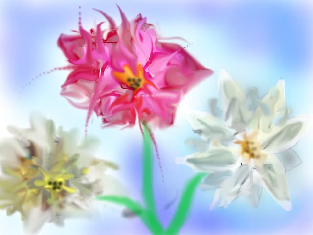 3flowers