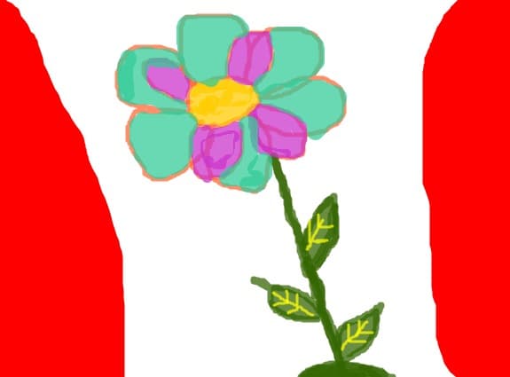o floare