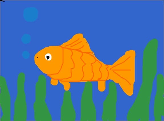 gold fish