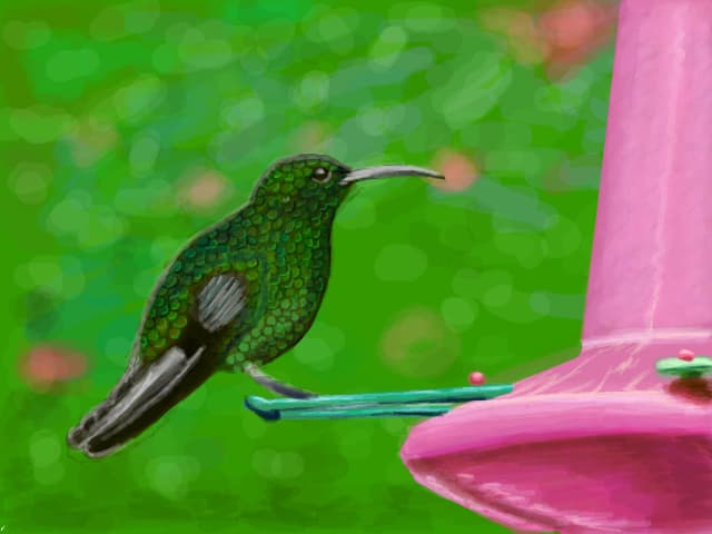 bird tropical