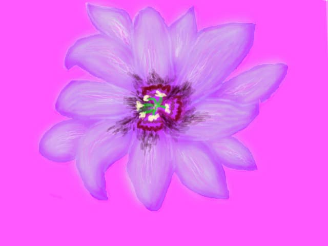 Pentru " SLYSLY,BROKENROSE,JUST MY