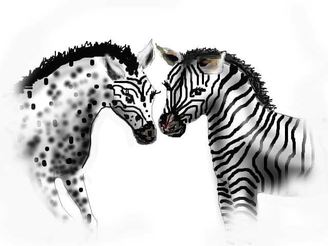 zebre