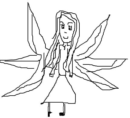 ZANA APEI