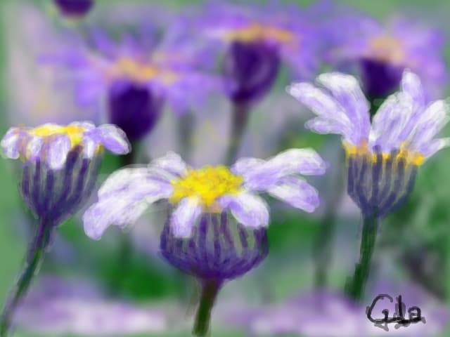 purple summer