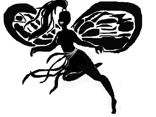 Black and white butterfly