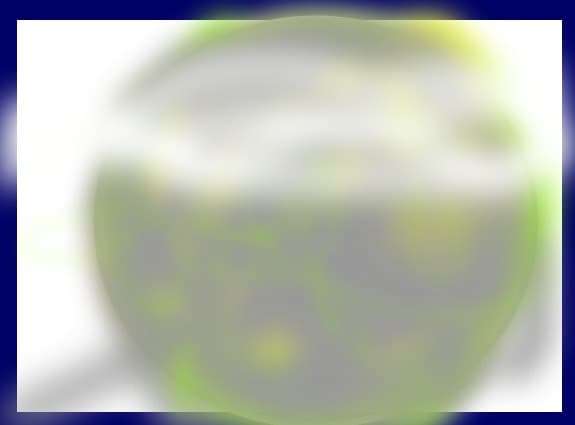 luna toxica