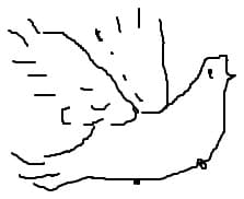 porumbel