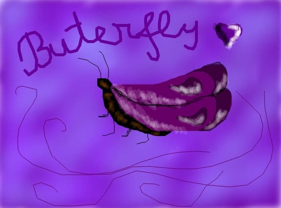buterfly