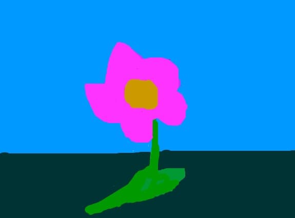 floarea mea:X