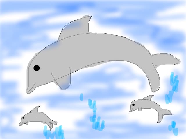 delfinasi