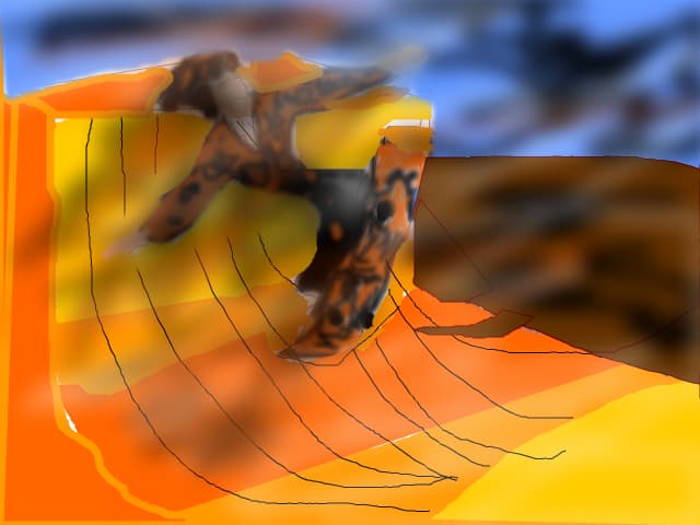 Tony Hawk