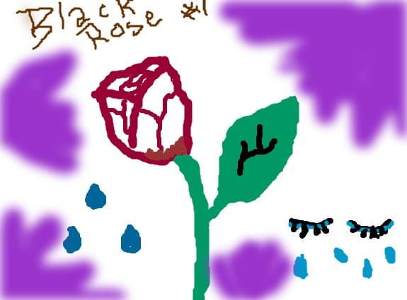 Black Rose
