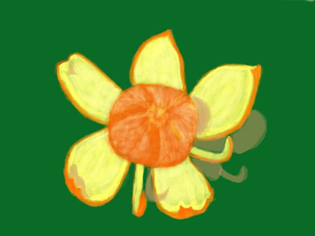 Portocala