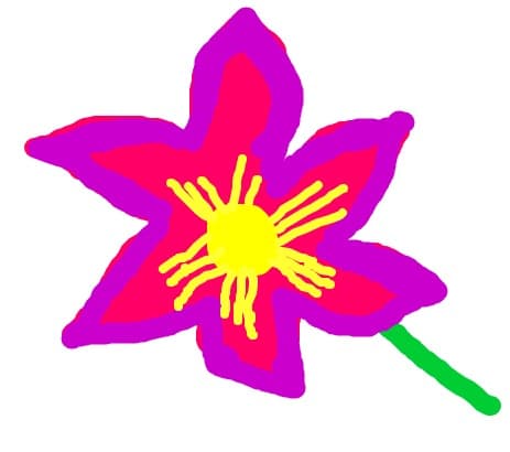 Floricica