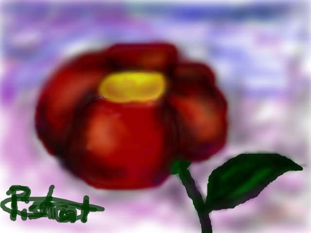 A red flower