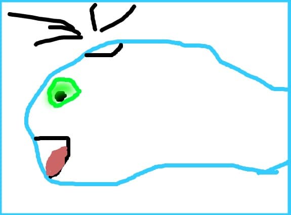 Balena