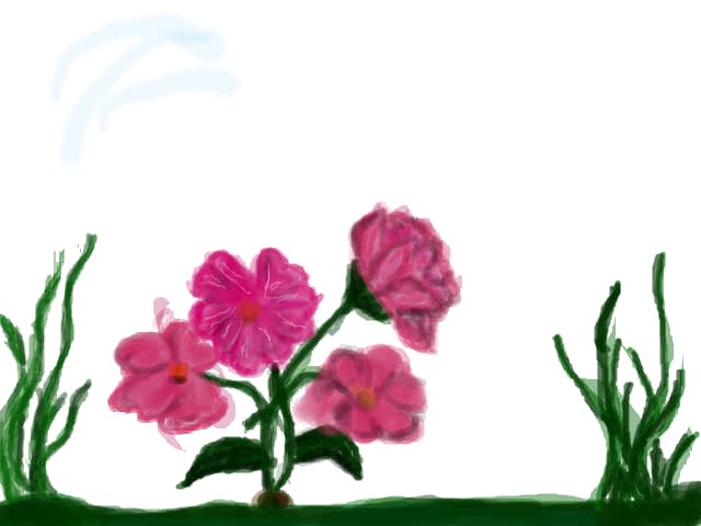 flori
