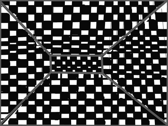 camera in patratele