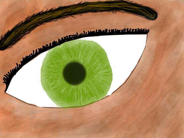 ochi