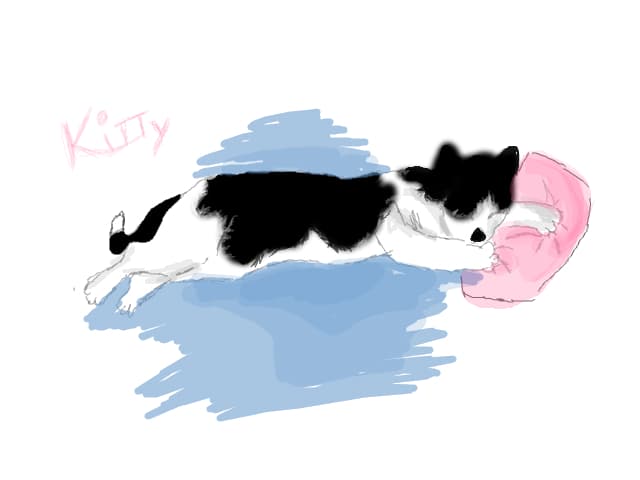 kitty