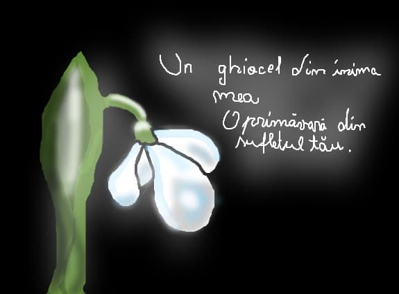 ghiocel
